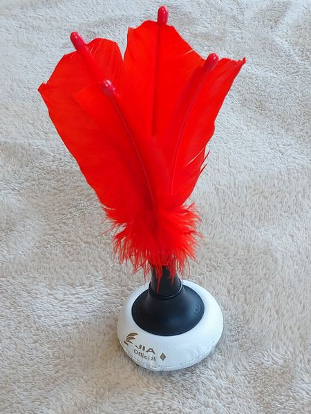 安城市インディアカ協会の紹介 | 安城市スポーツ協会 